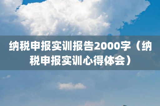 纳税申报实训报告2000字（纳税申报实训心得体会）