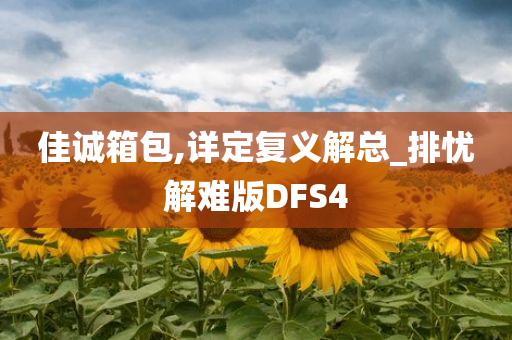 佳诚箱包,详定复义解总_排忧解难版DFS4