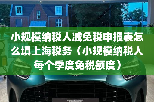 小规模纳税人减免税申报表怎么填上海税务（小规模纳税人每个季度免税额度）