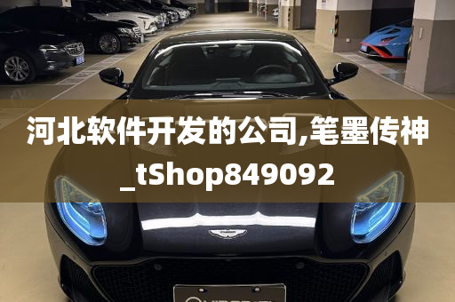 河北软件开发的公司,笔墨传神_tShop849092