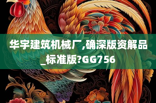 华宇建筑机械厂,确深版资解品_标准版?GG756