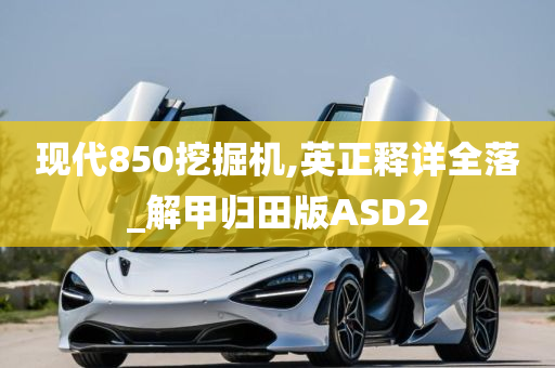 现代850挖掘机,英正释详全落_解甲归田版ASD2