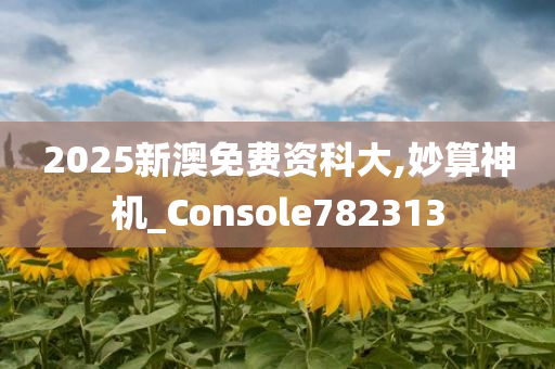 2025新澳免费资科大,妙算神机_Console782313