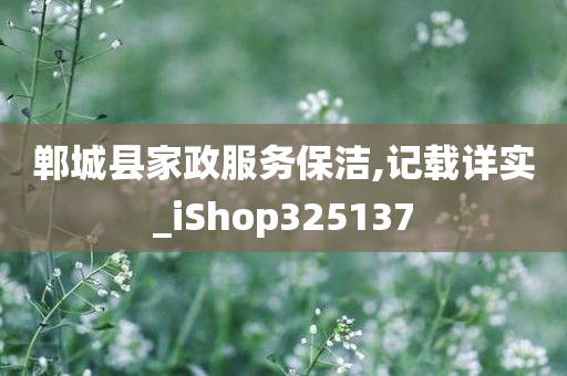 郸城县家政服务保洁,记载详实_iShop325137