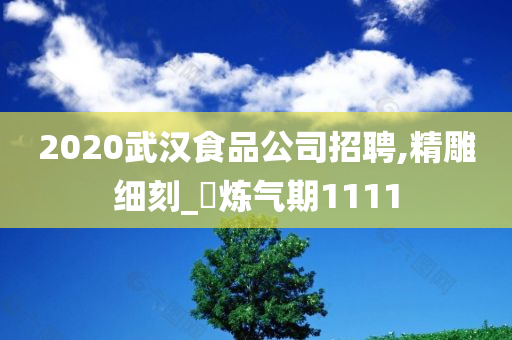 2020武汉食品公司招聘,精雕细刻_‌炼气期1111