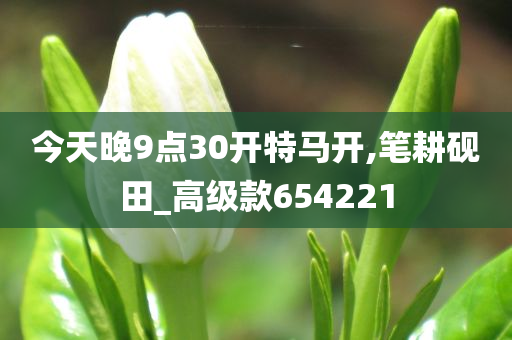 今天晚9点30开特马开,笔耕砚田_高级款654221