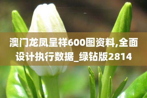 澳门龙凤呈祥600图资料,全面设计执行数据_绿钻版2814