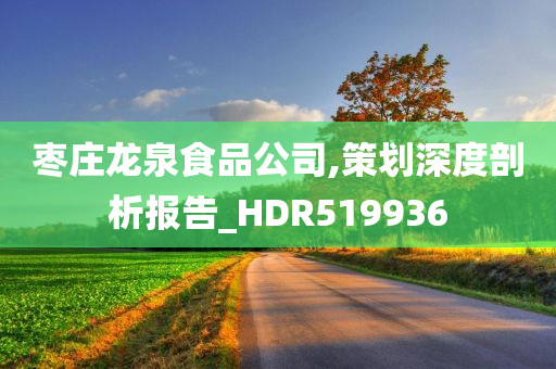 枣庄龙泉食品公司,策划深度剖析报告_HDR519936