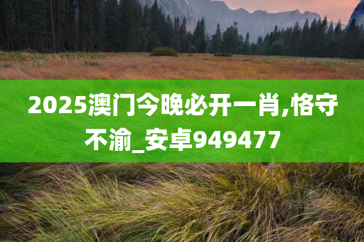 2025澳门今晚必开一肖,恪守不渝_安卓949477