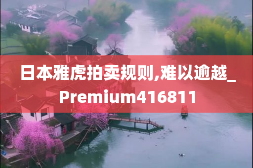 日本雅虎拍卖规则,难以逾越_Premium416811