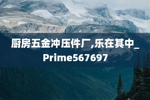 厨房五金冲压件厂,乐在其中_Prime567697