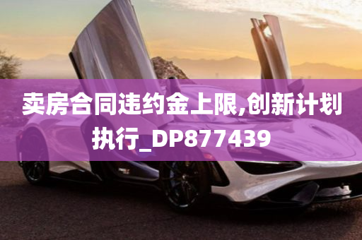 卖房合同违约金上限,创新计划执行_DP877439