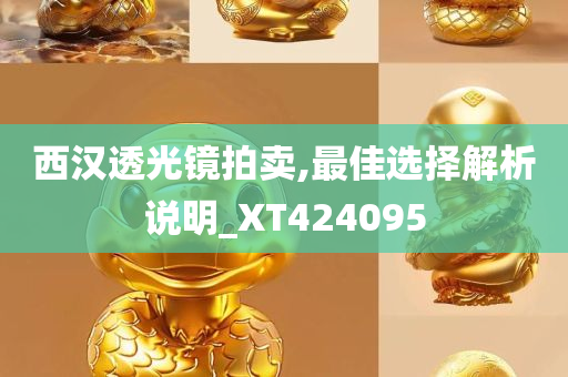 西汉透光镜拍卖,最佳选择解析说明_XT424095