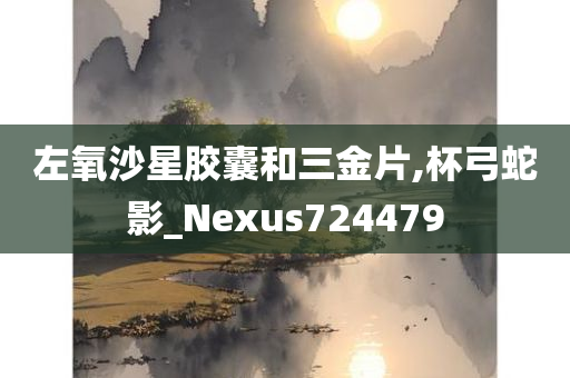 左氧沙星胶囊和三金片,杯弓蛇影_Nexus724479