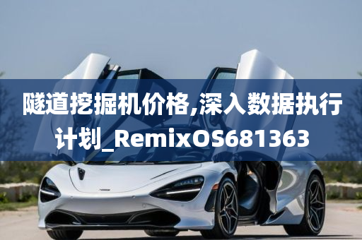 隧道挖掘机价格,深入数据执行计划_RemixOS681363