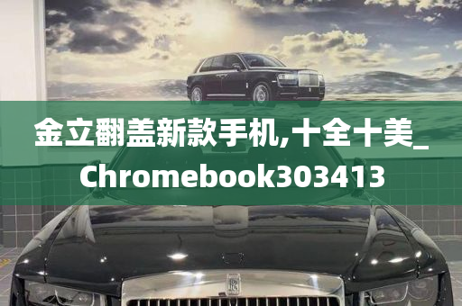 金立翻盖新款手机,十全十美_Chromebook303413