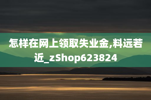 怎样在网上领取失业金,料远若近_zShop623824