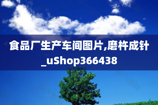 食品厂生产车间图片,磨杵成针_uShop366438