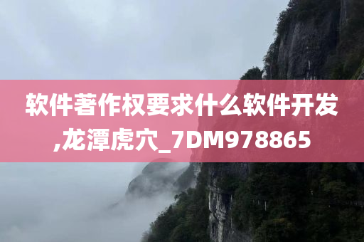 软件著作权要求什么软件开发,龙潭虎穴_7DM978865