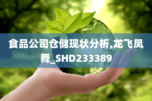 食品公司仓储现状分析,龙飞凤舞_SHD233389