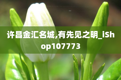 许昌金汇名城,有先见之明_iShop107773