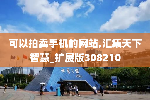 可以拍卖手机的网站,汇集天下智慧_扩展版308210