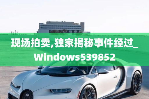 现场拍卖,独家揭秘事件经过_Windows539852