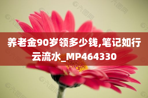 养老金90岁领多少钱,笔记如行云流水_MP464330