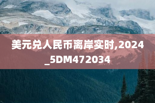 美元兑人民币离岸实时,2024_5DM472034