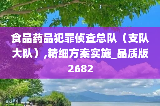 食品药品犯罪侦查总队（支队大队）,精细方案实施_品质版2682