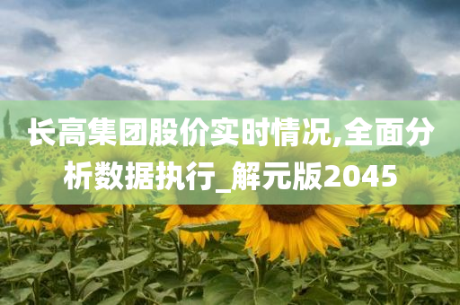 长高集团股价实时情况,全面分析数据执行_解元版2045