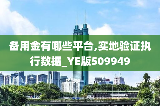 备用金有哪些平台,实地验证执行数据_YE版509949