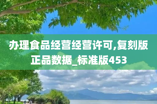 办理食品经营经营许可,复刻版正品数据_标准版453