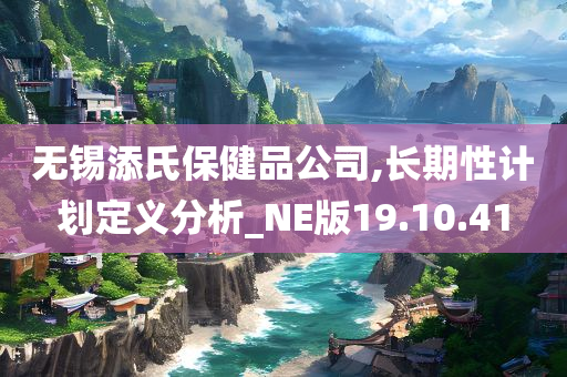 无锡添氏保健品公司,长期性计划定义分析_NE版19.10.41