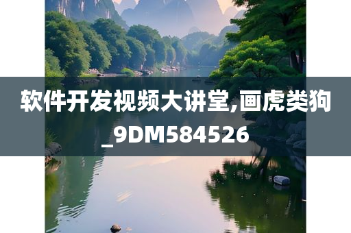 软件开发视频大讲堂,画虎类狗_9DM584526