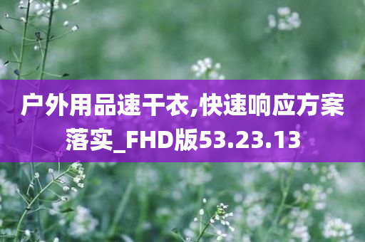 户外用品速干衣,快速响应方案落实_FHD版53.23.13