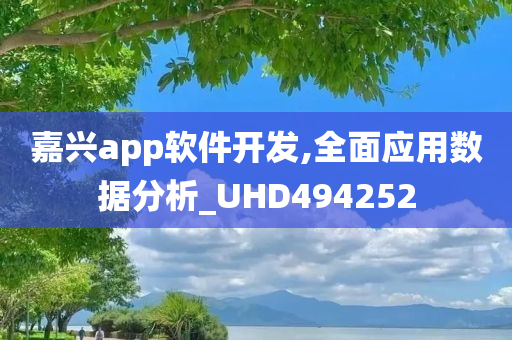 嘉兴app软件开发,全面应用数据分析_UHD494252