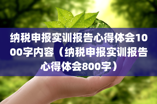 纳税申报实训报告心得体会1000字内容（纳税申报实训报告心得体会800字）