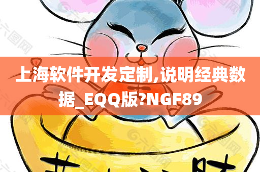 上海软件开发定制,说明经典数据_EQQ版?NGF89