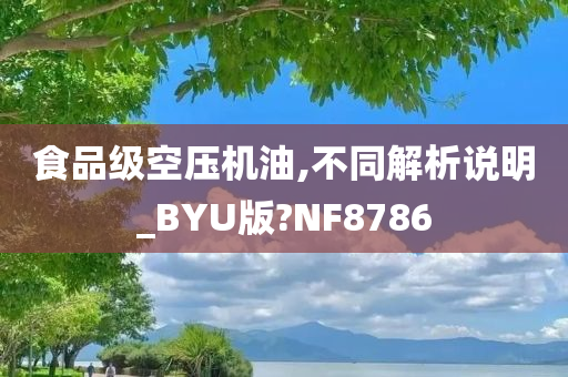 食品级空压机油,不同解析说明_BYU版?NF8786