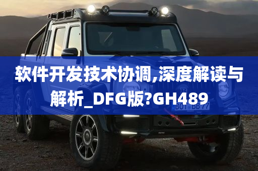 软件开发技术协调,深度解读与解析_DFG版?GH489