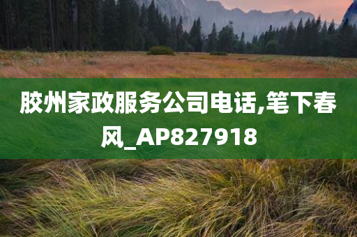 胶州家政服务公司电话,笔下春风_AP827918