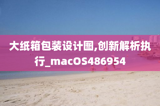 大纸箱包装设计图,创新解析执行_macOS486954