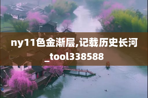 ny11色金渐层,记载历史长河_tool338588