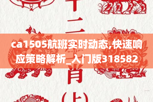 ca1505航班实时动态,快速响应策略解析_入门版318582