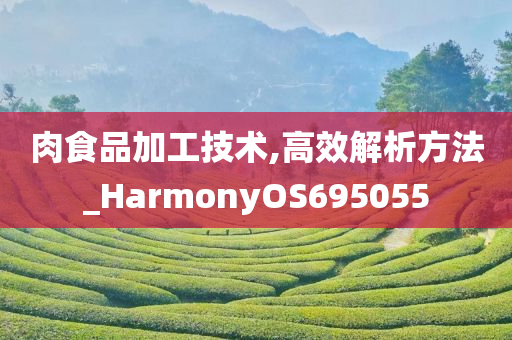 肉食品加工技术,高效解析方法_HarmonyOS695055