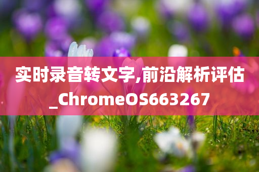 实时录音转文字,前沿解析评估_ChromeOS663267