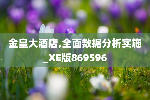 金皇大酒店,全面数据分析实施_XE版869596