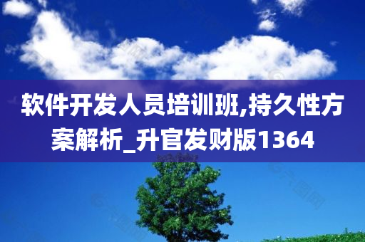 软件开发人员培训班,持久性方案解析_升官发财版1364