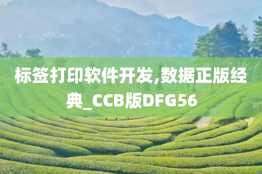 标签打印软件开发,数据正版经典_CCB版DFG56